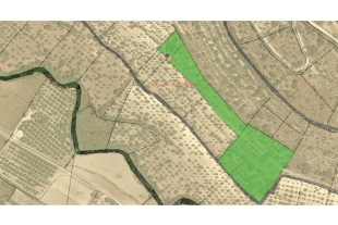 RIF. 501 TERRENO AGRICOLO MAMMANELLI