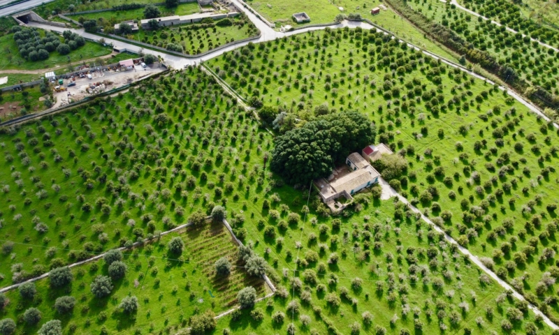 RIF. 508 – VILLA DELLA ZAGARA RIF. 508 – VILLA DELLA ZAGARA