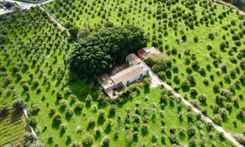 RIF. 508 – VILLA DELLA ZAGARA RIF. 508 – VILLA DELLA ZAGARA