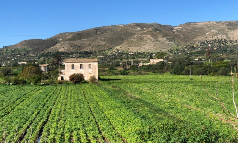 RIF. 581 – CASEGGIATO NOBILIARE DI CAMPAGNA RIF. 581 – CASEGGIATO NOBILIARE DI CAMPAGNA