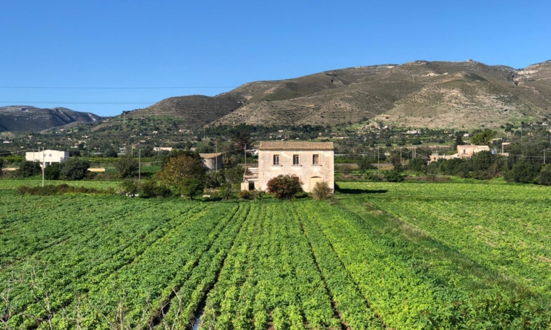 RIF. 581 – CASEGGIATO NOBILIARE DI CAMPAGNA RIF. 581 – CASEGGIATO NOBILIARE DI CAMPAGNA