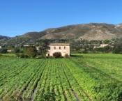 RIF. 581 – CASEGGIATO NOBILIARE DI CAMPAGNA