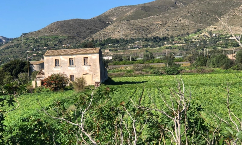 RIF. 581 – CASEGGIATO NOBILIARE DI CAMPAGNA RIF. 581 – CASEGGIATO NOBILIARE DI CAMPAGNA