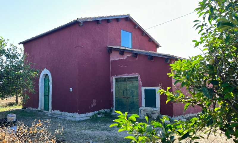 RIF. 601 – AGRUMETO PALMA RIF. 601 – AGRUMETO PALMA