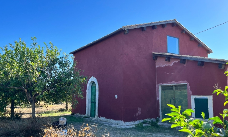 RIF. 601 – AGRUMETO PALMA RIF. 601 – AGRUMETO PALMA
