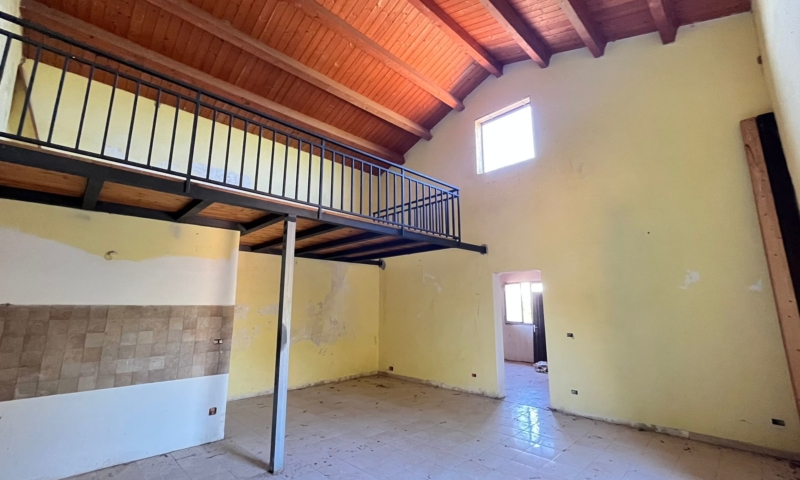 RIF. 601 – AGRUMETO PALMA RIF. 601 – AGRUMETO PALMA