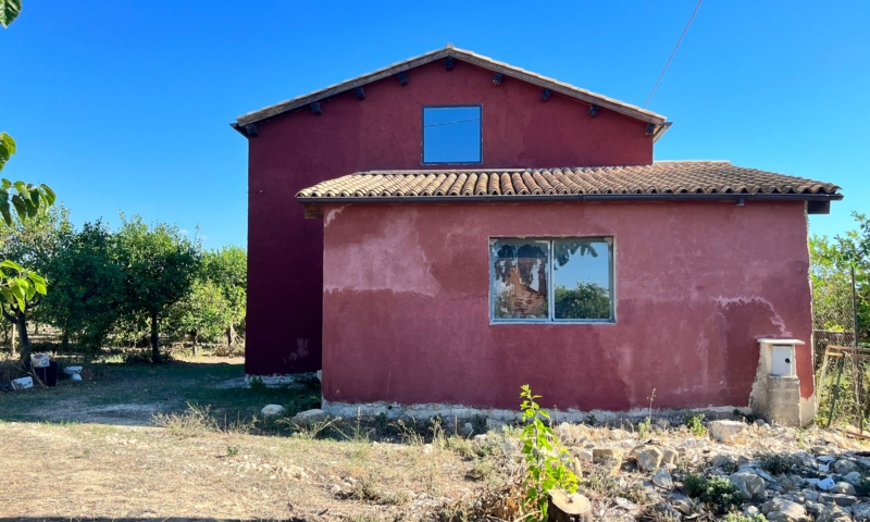 RIF. 601 – AGRUMETO PALMA RIF. 601 – AGRUMETO PALMA