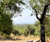 RIF. 603 – TERRENO VISTA MARE CON MAGAZZINO