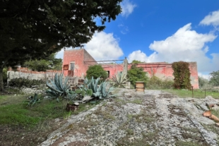 RIF. 604 – PODERE LE DALIE