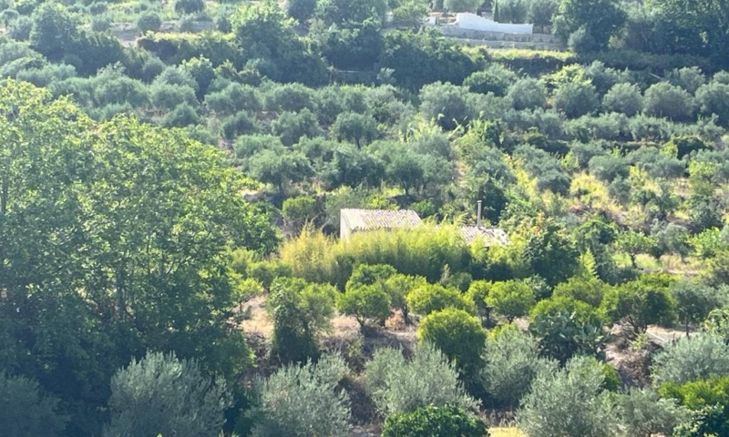 RIF. 629 – TERRENO AGRICOLO NOTO RIF. 629 – TERRENO AGRICOLO NOTO