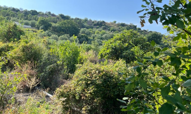 RIF. 629 – TERRENO AGRICOLO NOTO RIF. 629 – TERRENO AGRICOLO NOTO