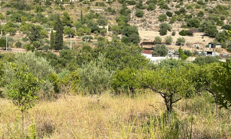 RIF. 629 – TERRENO AGRICOLO NOTO RIF. 629 – TERRENO AGRICOLO NOTO