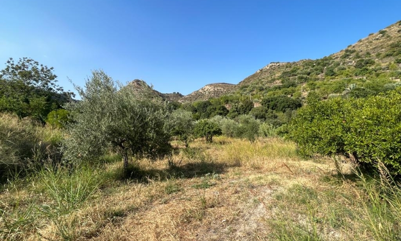 RIF. 629 – TERRENO AGRICOLO NOTO RIF. 629 – TERRENO AGRICOLO NOTO