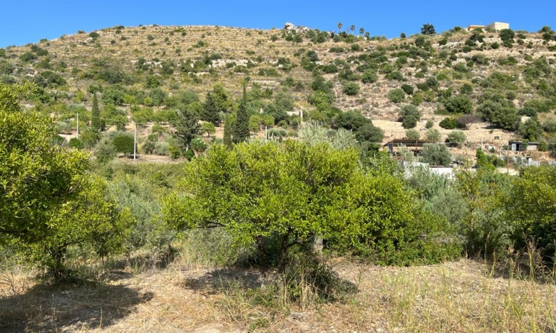 RIF. 629 – TERRENO AGRICOLO NOTO RIF. 629 – TERRENO AGRICOLO NOTO