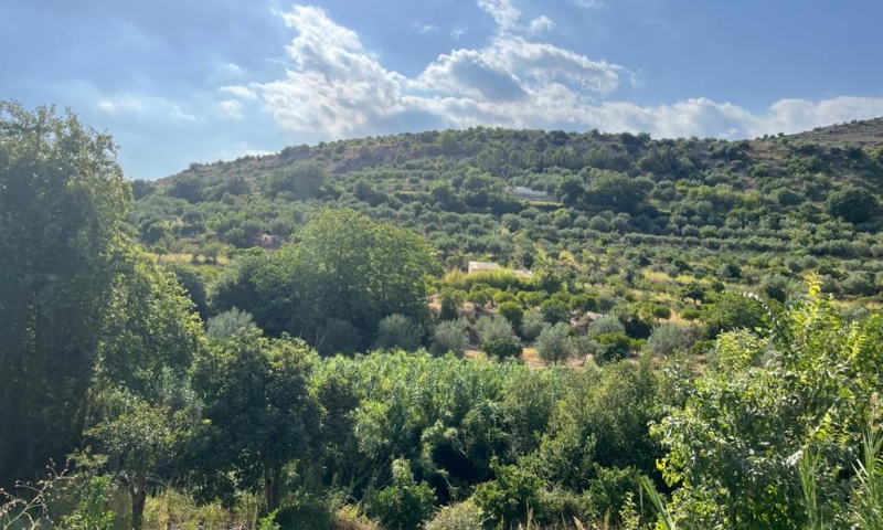 RIF. 629 – TERRENO AGRICOLO NOTO RIF. 629 – TERRENO AGRICOLO NOTO