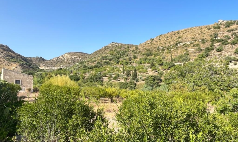 RIF. 629 – TERRENO AGRICOLO NOTO RIF. 629 – TERRENO AGRICOLO NOTO