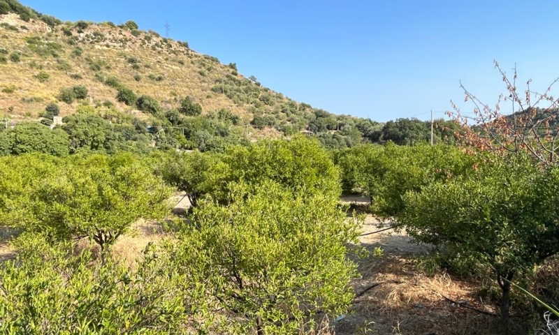 RIF. 629 – TERRENO AGRICOLO NOTO RIF. 629 – TERRENO AGRICOLO NOTO