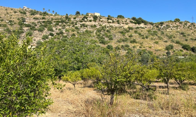 RIF. 629 – TERRENO AGRICOLO NOTO RIF. 629 – TERRENO AGRICOLO NOTO
