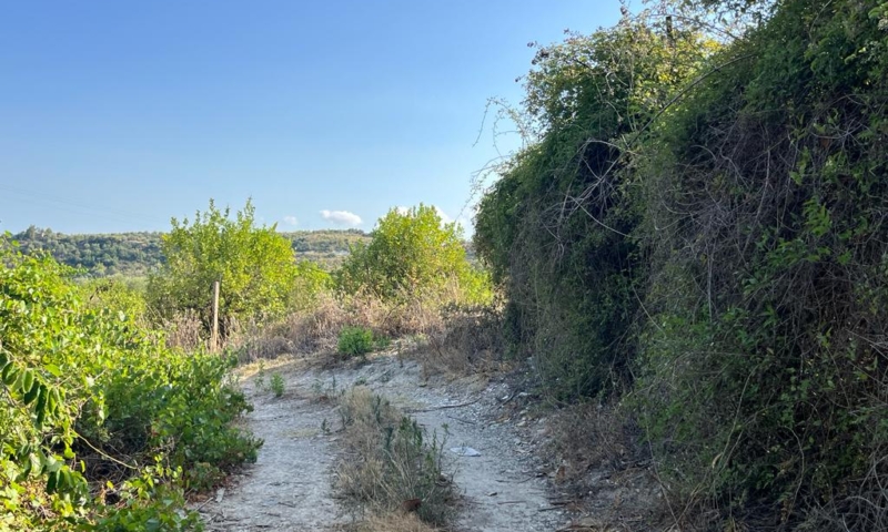 RIF. 629 – TERRENO AGRICOLO NOTO RIF. 629 – TERRENO AGRICOLO NOTO