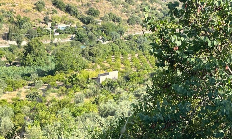 RIF. 629 – TERRENO AGRICOLO NOTO RIF. 629 – TERRENO AGRICOLO NOTO