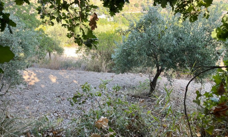 RIF. 629 – TERRENO AGRICOLO NOTO RIF. 629 – TERRENO AGRICOLO NOTO
