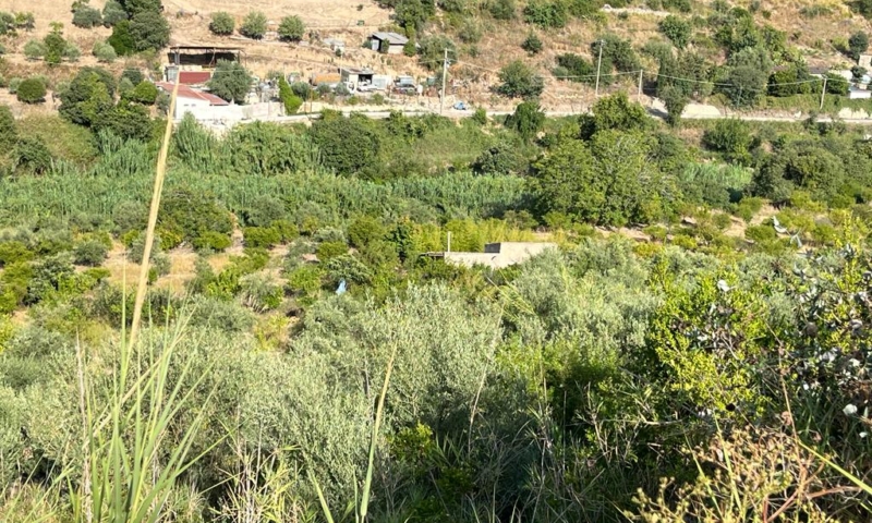 RIF. 629 – TERRENO AGRICOLO NOTO RIF. 629 – TERRENO AGRICOLO NOTO