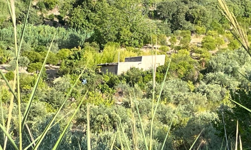RIF. 629 – TERRENO AGRICOLO NOTO RIF. 629 – TERRENO AGRICOLO NOTO