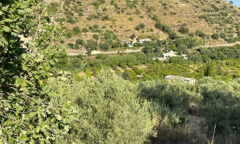 RIF. 629 – TERRENO AGRICOLO NOTO RIF. 629 – TERRENO AGRICOLO NOTO