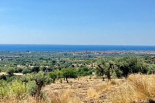 RIF. 691 – TERRENO VISTA MARE RIF. 691 – TERRENO VISTA MARE