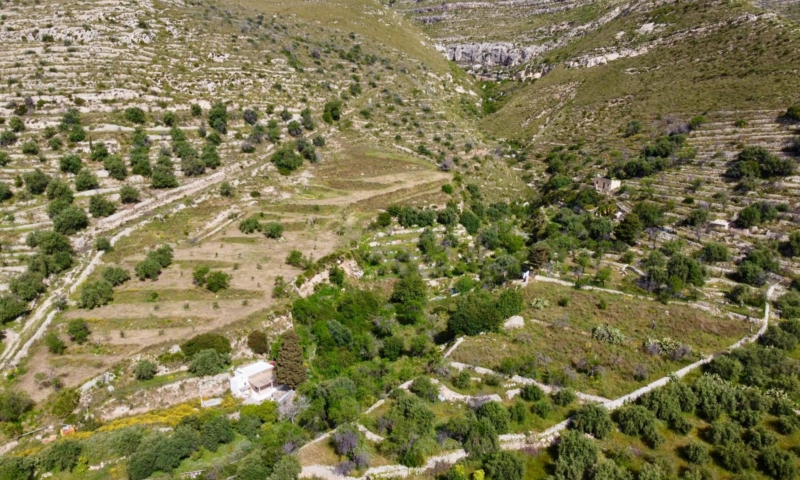 RIF. 691 – TERRENO VISTA MARE RIF. 691 – TERRENO VISTA MARE