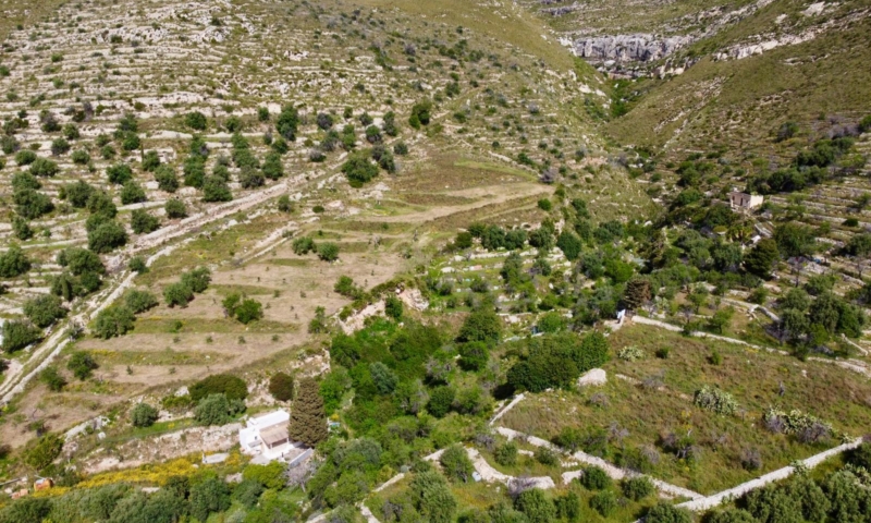 RIF. 691 – TERRENO VISTA MARE RIF. 691 – TERRENO VISTA MARE