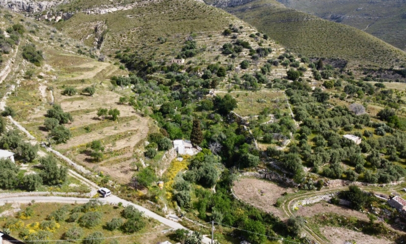 RIF. 691 – TERRENO VISTA MARE RIF. 691 – TERRENO VISTA MARE