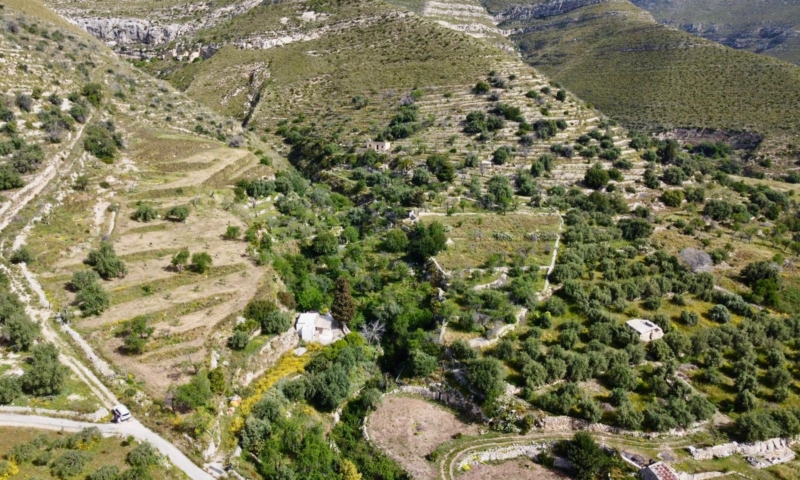 RIF. 691 – TERRENO VISTA MARE RIF. 691 – TERRENO VISTA MARE