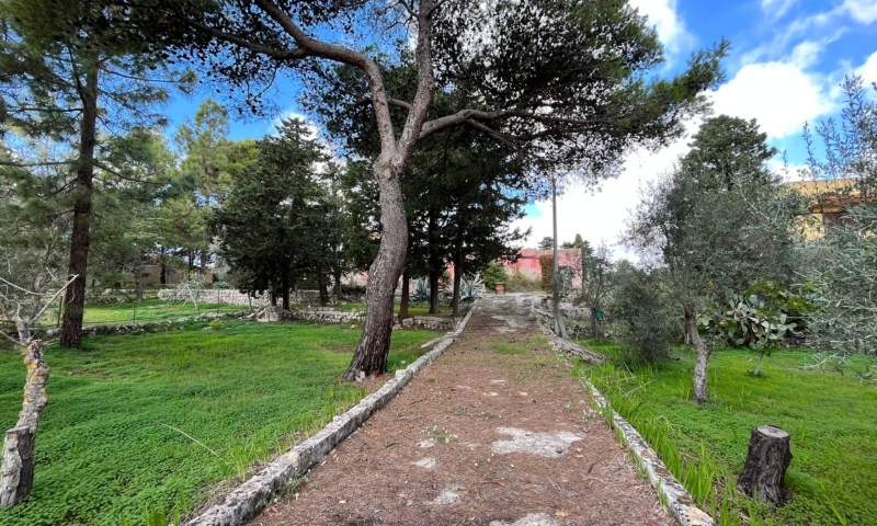 RIF. 694 – RESIDENZA LE DALIE RIF. 694 – RESIDENZA LE DALIE