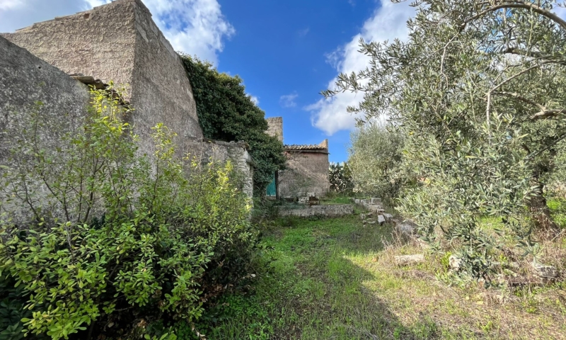 RIF. 694 – RESIDENZA LE DALIE RIF. 694 – RESIDENZA LE DALIE