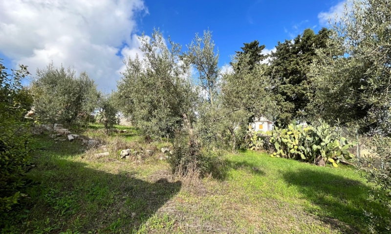 RIF. 694 – RESIDENZA LE DALIE RIF. 694 – RESIDENZA LE DALIE