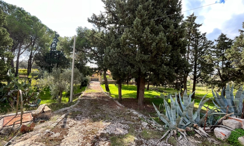RIF. 694 – RESIDENZA LE DALIE RIF. 694 – RESIDENZA LE DALIE
