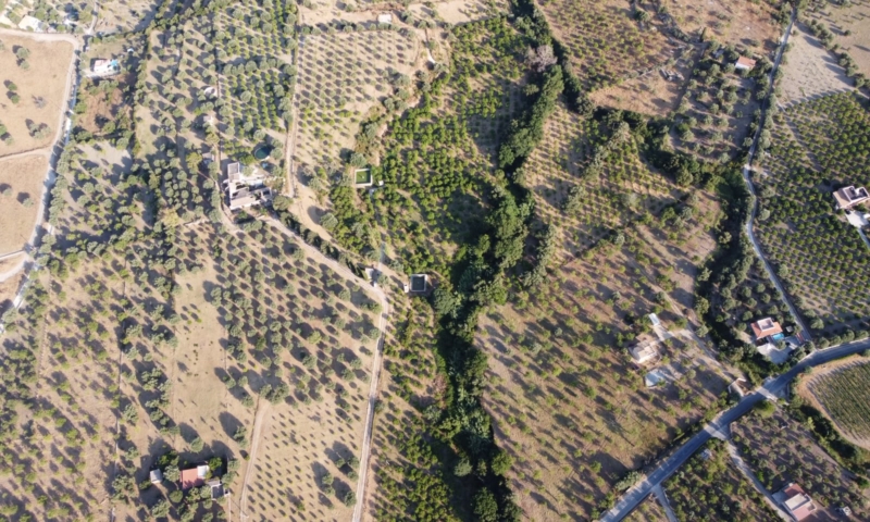 RIF. 698 – AGRUMETO FIUMARELLA RIF. 698 – AGRUMETO FIUMARELLA