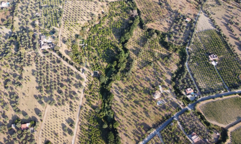 RIF. 698 – AGRUMETO FIUMARELLA RIF. 698 – AGRUMETO FIUMARELLA
