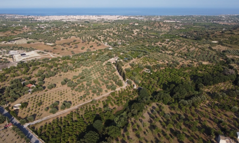 RIF. 698 – AGRUMETO FIUMARELLA RIF. 698 – AGRUMETO FIUMARELLA