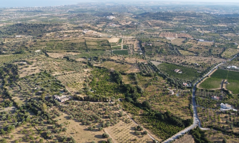 RIF. 698 – AGRUMETO FIUMARELLA RIF. 698 – AGRUMETO FIUMARELLA