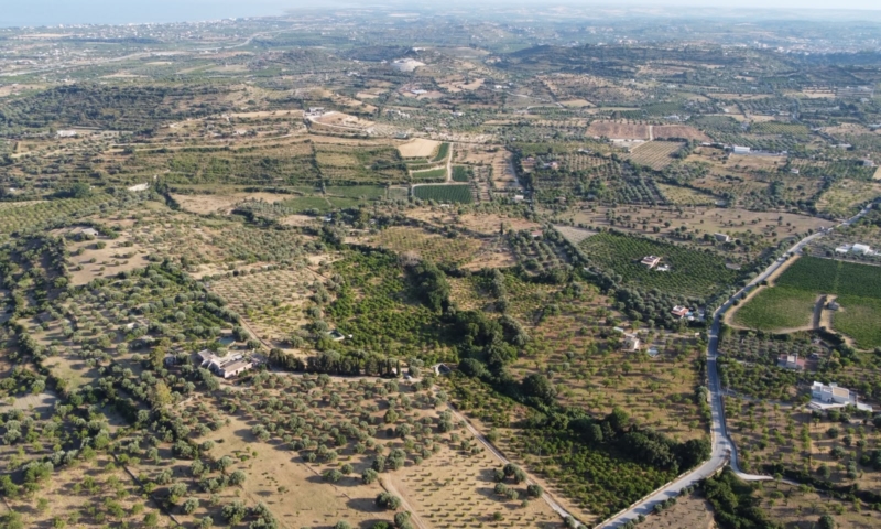 RIF. 698 – AGRUMETO FIUMARELLA RIF. 698 – AGRUMETO FIUMARELLA