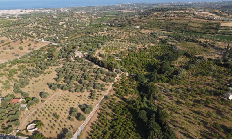 RIF. 698 – AGRUMETO FIUMARELLA RIF. 698 – AGRUMETO FIUMARELLA