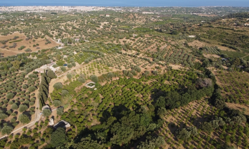 RIF. 698 – AGRUMETO FIUMARELLA RIF. 698 – AGRUMETO FIUMARELLA